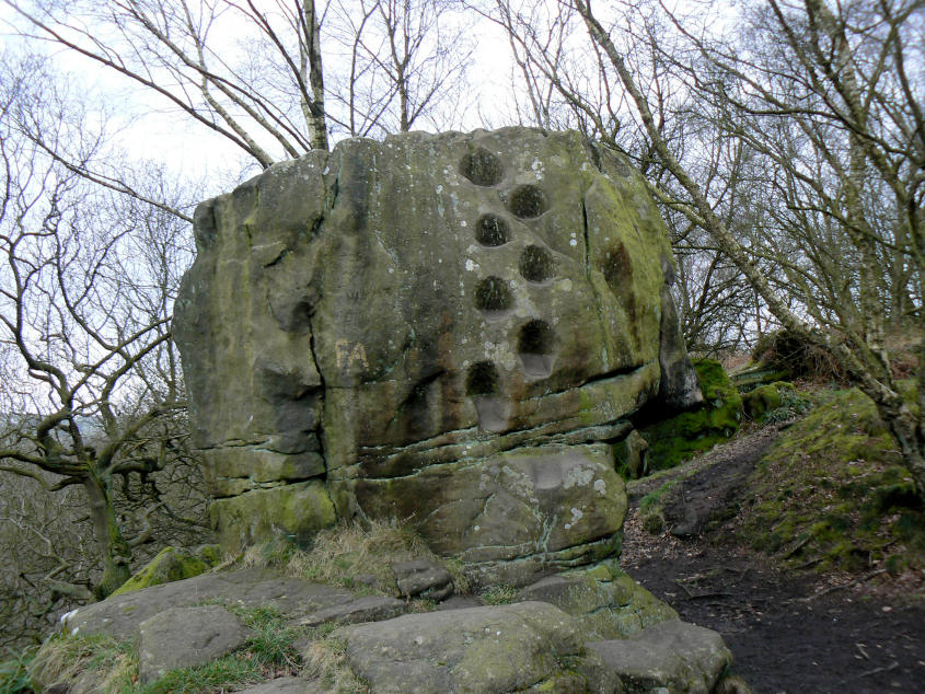 Cat Stone Cat Stone
